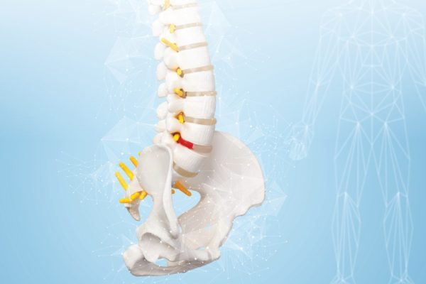 Orthopaedics Newsletter 2025
